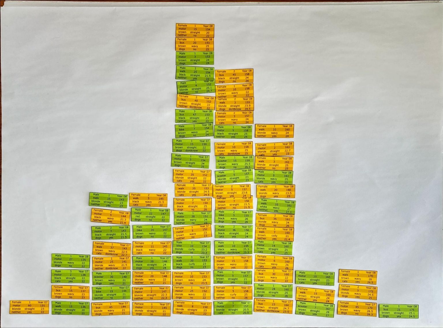 Data Cards for CensusAtSchool 2023–2024 - CensusAtSchool New Zealand
